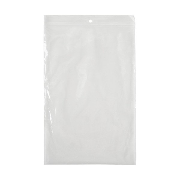 Shipping²Go Poly Bags, Reclosable, 9" x 6", 4 mils, Pack of 100
